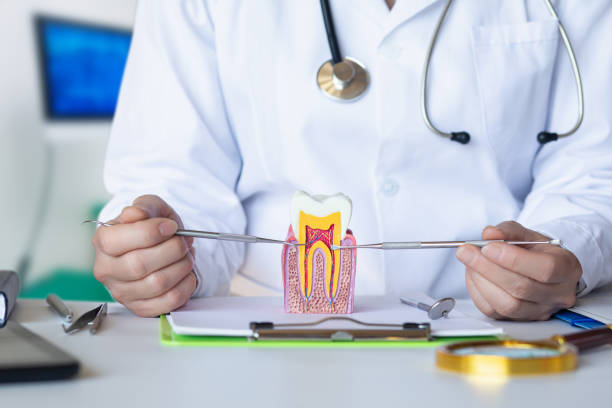 Best Emergency Tooth Extraction in Taft, FL